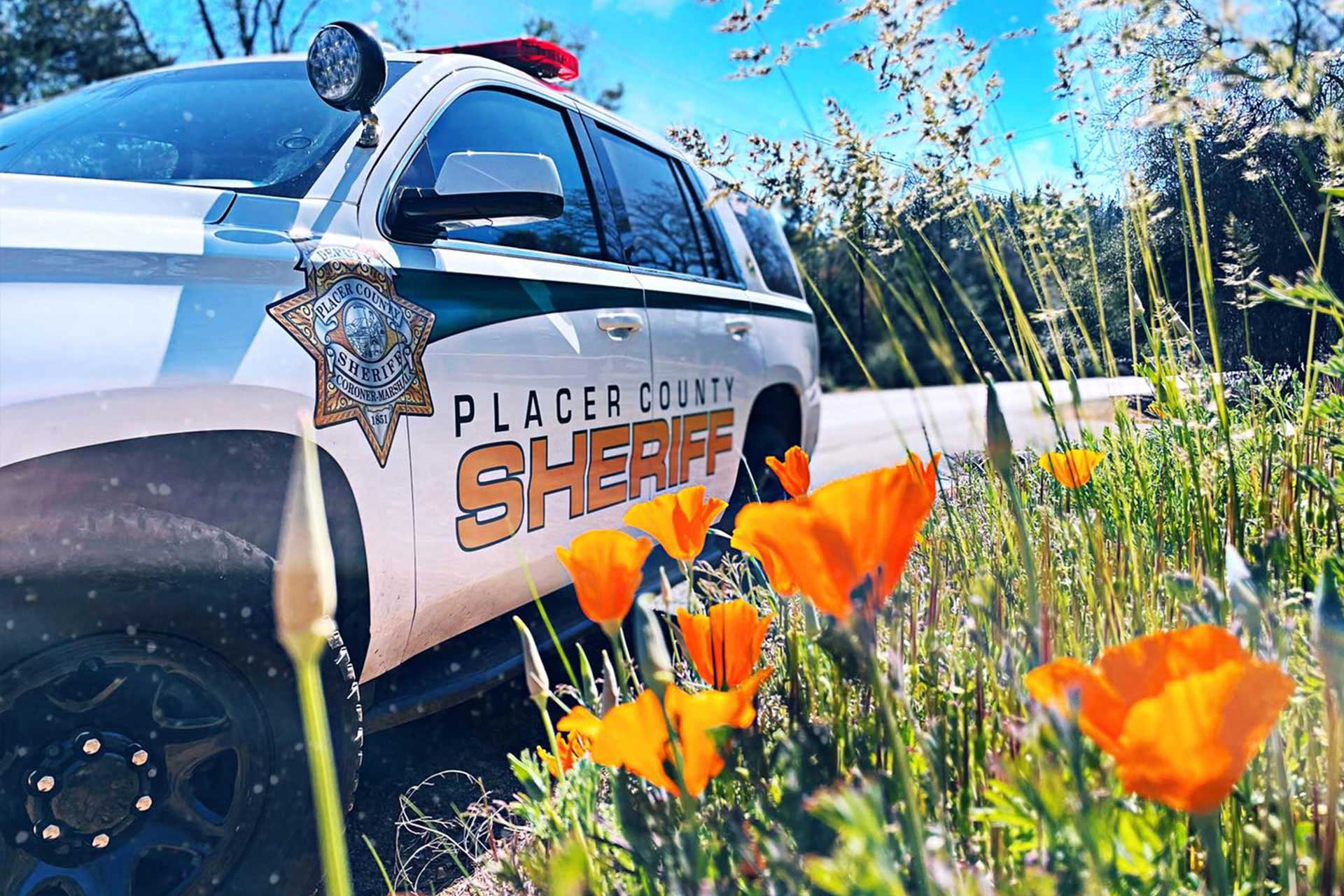 Placer County Sheriff Unit